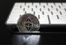 المحافظ الجديدة تعزز سلاسل EVM رغم خسائر السوق العامة - اكتشف التفاصيل!