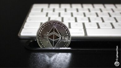 المحافظ الجديدة تعزز سلاسل EVM رغم خسائر السوق العامة - اكتشف التفاصيل!