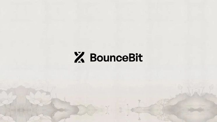 دمج BounceBit لعملات USYC مع Hashnote لتعزيز حلول CeDeFi - اكتشف التفاصيل!