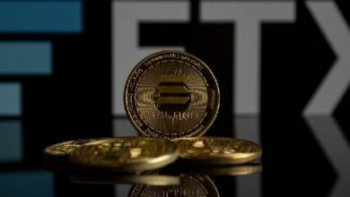 نصائح من 'بطل' دائن FTX: تجنبوا المراهنة على عملات سولانا الميمية!