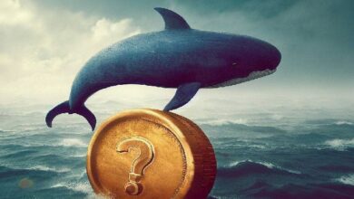 ماذا فعلت الحيتان أثناء الانخفاض الحاد في بيتكوين؟ الحوت الذي نجح في استكشاف القاع اشترى هذا الألتكوين مجددًا! اكتشف المزيد الآن!