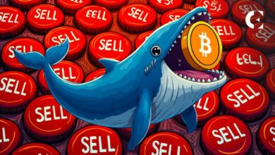 هل تمتلك بيتكوين "أيادي ألماسية"؟ ارتفاع BTC إلى 97 ألف دولار بينما الحيتان تتخلى عن المستوى السابق لـ 3AC