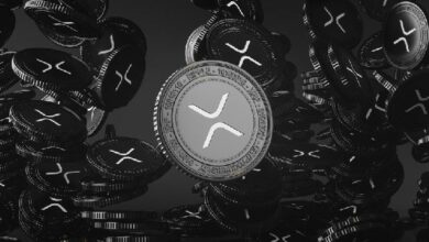دفتر حسابات XRP يوقف إنتاج الكتل مؤقتًا، كبير تقنيي ريبل يشير إلى احتمال "انحراف" بالشبكة – اكتشف التفاصيل!