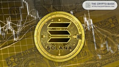 سولانا تخوض معركة عند 200$: هل يلوح في الأفق تراجع ممتد إلى 175$؟ اضغط للاكتشاف!