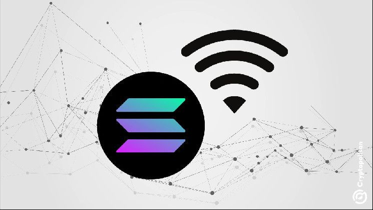 نجاح سولانا في عامها القياسي بدون توقف الشبكة: اكتشف التفاصيل الآن!