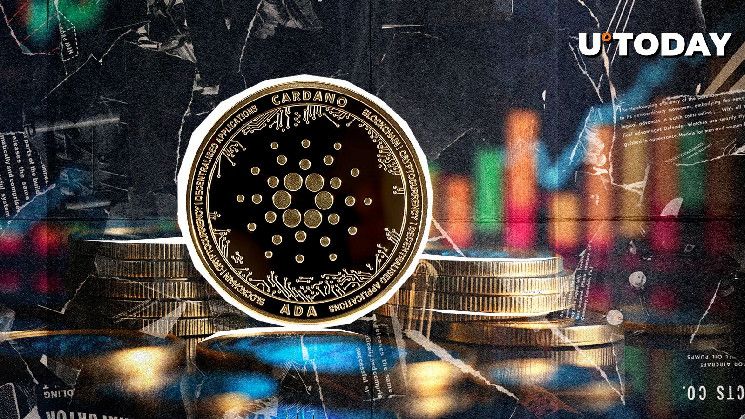 ارتفاع حجم كاردانو (ADA) بنسبة 428% رغم أسوأ انهيار في سوق العملات الرقمية - اكتشف التفاصيل!