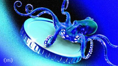 صراعات سوق أونيكسكوين (XCN): حاملو الأصول على المدى الطويل يمنعون الانهيار وسط هروب المستثمرين - اكتشف التفاصيل!