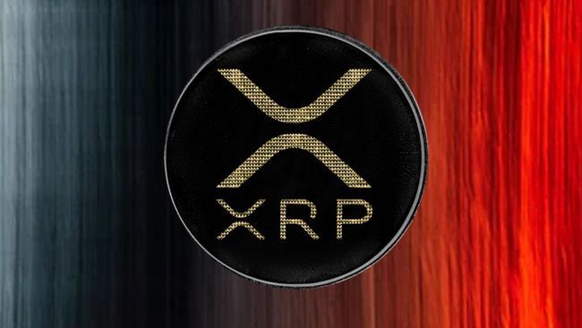 سعر XRP ينهار بشدة: هل هناك فرصة للتعافي؟ اكتشف المزيد!