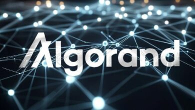 مؤسسة Algorand تدعو لاعتماد DOGE على بلوكتشين لتحسين الحكومة - اكتشف التفاصيل!