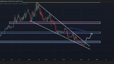 توقعات سعر POPCAT ليوم 9 فبراير 2025 - اكتشف الآن!