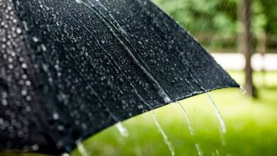 إشارات XRP لانفجار بولينجر ضد بيتكوين: اكتشف التفاصيل!