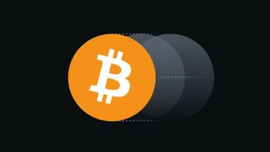 تأثير ترامب على البيتكوين حتى الآن يشبه فوزه في 2016 - اكتشف التفاصيل!