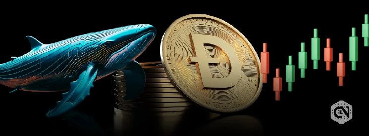 حيتان دوجكوين تجمع 100 مليون دوجي: تنبؤات بارتفاع محتمل - اكتشف التفاصيل!