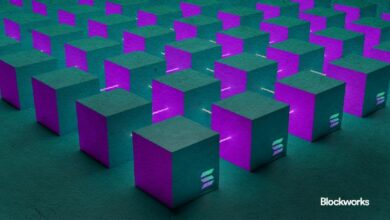 ظهور مدققين جدد مع تزايد استخدام سولانا - اكتشف المزيد الآن!