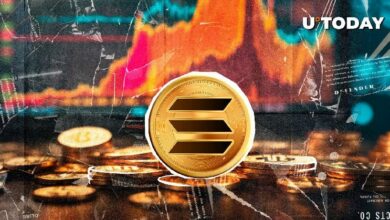 سولانا (SOL) ترتفع إلى 200 دولار بعد انهيار كبير - اكتشف ما سيحدث بعد ذلك!