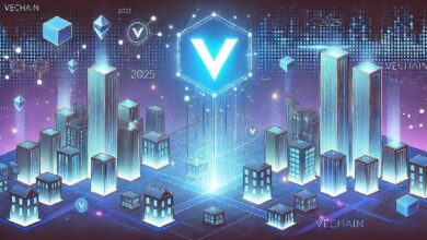 POA 3.0 من VeChain هنا—ترقيات كبرى ولا حاجة للتحقق من الهوية بعد الآن! اكتشف التفاصيل الآن!