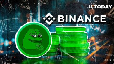 375 مليار PEPE تغادر Binance في أول حركة غامضة لحوت العملات الرقمية