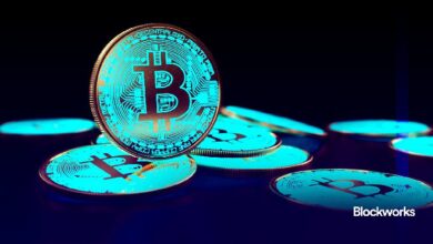 "مستثمر بيتكوين اشترى عند 0.25 دولار يؤكد: الولايات المتحدة لن تتمكن أبدًا من شراء 5 ملايين BTC – اكتشف السبب!"