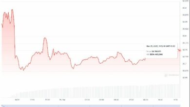 "انخفاض سعر NIL من Nillion بنسبة 12% بعد الإطلاق.. هل يُثبت الحوسبة العمياء قدرتها على تعزيز خصوصية البيانات والذكاء الاصطناعي؟"