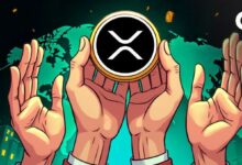 لماذا تفشل العملات الرقمية للبنوك المركزية المغلفة؟ شوارتز يوضح فائدة جسر XRP (اكتشف السبب الآن!)