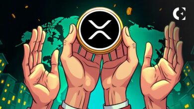 لماذا تفشل العملات الرقمية للبنوك المركزية المغلفة؟ شوارتز يوضح فائدة جسر XRP (اكتشف السبب الآن!)