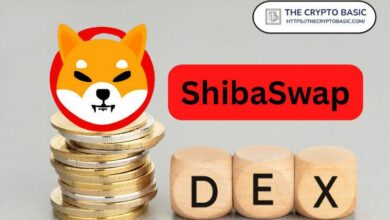 "تسجيل صادم لـ Shiba Inu DEX: ارتفاع حجم التداول 244% إلى أكثر من 10 ملايين دولار – اكتشف التفاصيل الآن!"