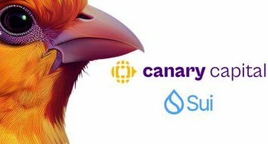 هل تقدمت Canary بطلب S-1 لصندوق Sui ETF الفوري؟ اكتشف التفاصيل الآن!