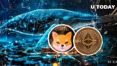 مليارات من عملة Shiba Inu (SHIB) يتم شراؤها بواسطة حوت Ethereum كبير خامل: اكتشف التفاصيل الآن!