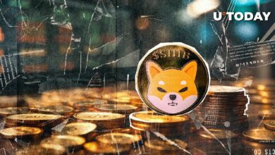 14,372,556 SHIB في دقائق: اكتشف ما الذي يحدث الآن!