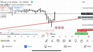 المحلل الأسطوري بيتر براندت يُدرج 6 أسباب تؤكد تحول بيتكوين إلى الاتجاه الصعودي - اكتشف التفاصيل الآن!
