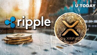 500,000,000 XRP تصل إلى حساب Ripple: ما هو الهدف النهائي؟ اكتشف الآن!