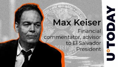 "ماكس كايزر: XRP أصل مسبق التعدين رغم انتصار Ripple في قضية SEC – اكتشف التفاصيل الآن!"