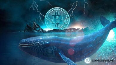 "حوت البيتكوين ينقل 252 مليون دولار.. هل سيؤثر ذلك على السوق؟ اكتشف التفاصيل الآن!"