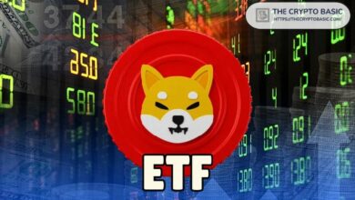 متى يمكننا توقع صناديق ETF لشيبا إينو؟ فريق النظام البيئي يدعو إلى منتج استثماري قائم على SHIB - اكتشف المزيد!