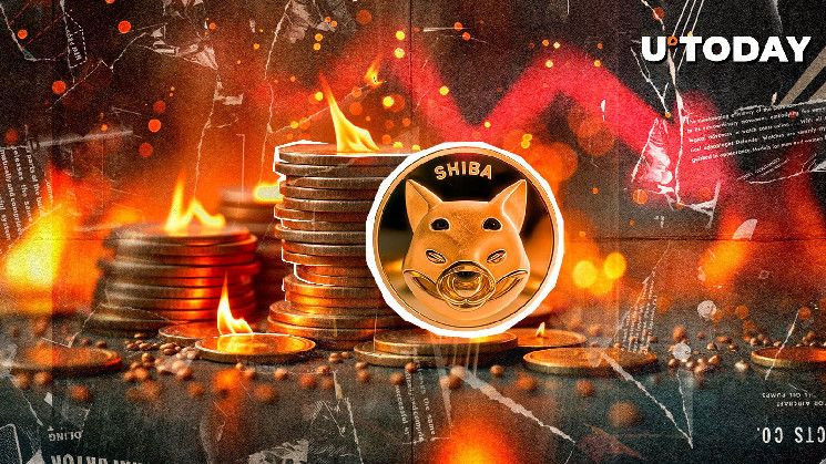 حرق 389,189,413 عملة شيبا إينو مع تعافي السعر بعد الانخفاض بنسبة 10٪ - اكتشف المزيد!