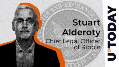 كبير مستشاري شركة ريبل يدعم إرشادات هيئة الأوراق المالية الأمريكية حول العملات الميمية: اكتشف التفاصيل