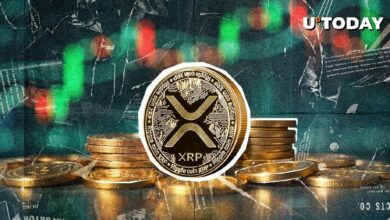 تعليقات وايز كريبتو على صمود XRP: اكتشف أسباب قوته واستمراريته في سوق العملات الرقمية