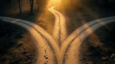 "دورة البيتكوين الربع سنوية عند مفترق طرق: هل انتهى صعود التقليص؟ اكتشف الآن!"