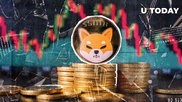 احتراق 20,000,000 SHIB في دقائق – اكتشف التفاصيل الآن!