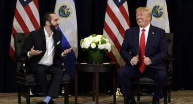 "ترامب يخطط للقاء مؤيد البيتكوين ناييب بوكيلي الشهر المقبل – تعرف على التفاصيل!"