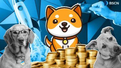 قصة BabyDoge: أكثر من مجرد عملة ميمي – اكتشف التفاصيل الكاملة الآن!