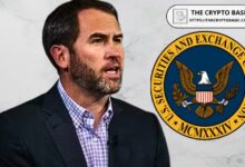 رئيس Ripple يكشف سبب استمرار الشركة في استئناف قضيتها ضد هيئة الأوراق المالية الأمريكية: تفاصيل مثيرة تهم كل متابعي العملات الرقمية