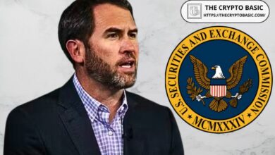 رئيس Ripple يكشف سبب استمرار الشركة في استئناف قضيتها ضد هيئة الأوراق المالية الأمريكية: تفاصيل مثيرة تهم كل متابعي العملات الرقمية
