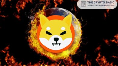 شيبا إنو: منصة حرق Shibarium تدمر 713,128,264 SHIB مع ارتفاع معدل الحرق بنسبة 10% – اكتشف التفاصيل الآن!