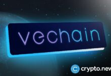 دانا وايت وشركة Power Slap تتعاونان مع VeChain لتوسيع عالمي - اكتشف التفاصيل الآن