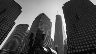 شركة بورتوفينو تكنولوجيز لصناعة السوق في العملات الرقمية تُعد خططاً كبيرة لعام 2025 - اكتشف التفاصيل!