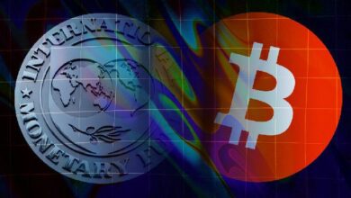صندوق النقد الدولي يحدّث المعايير العالمية لإدراج العملات الرقمية في ميزان المدفوعات