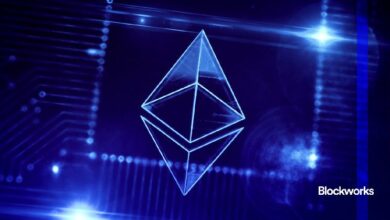 "EOF تتقدم رغم الخلافات بين المطورين: تعرف على التفاصيل الآن!"