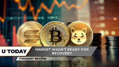 هل بيتكوين (BTC) مستعد للوصول إلى 100,000 دولار؟ سولانا (SOL) ترتفع بشكل غير متوقع، شيبا إينو (SHIB): هل هناك أمل؟ اكتشف الآن!