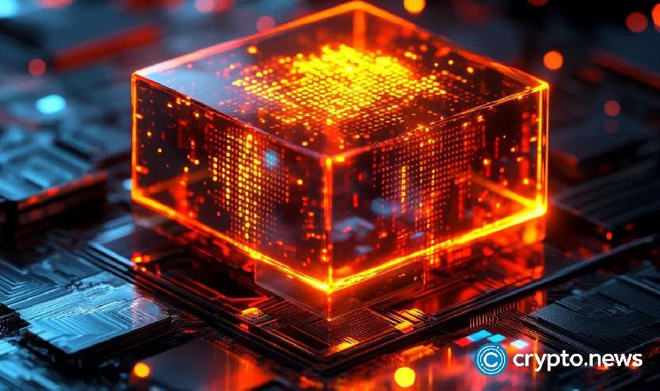 بايبت تشعل النقاشات بطلب استرداد يقارب 100 ألف دولار من داو باراسواب متعلقة برسوم تحويل المخترق - اكتشف التفاصيل!